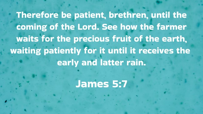 Therefore be patient, brethren, until the coming of the Lord. See how the farmer waits for the precious fruit of the earth, waiting patiently for it until it receives the early and latter rain. - James 5:7