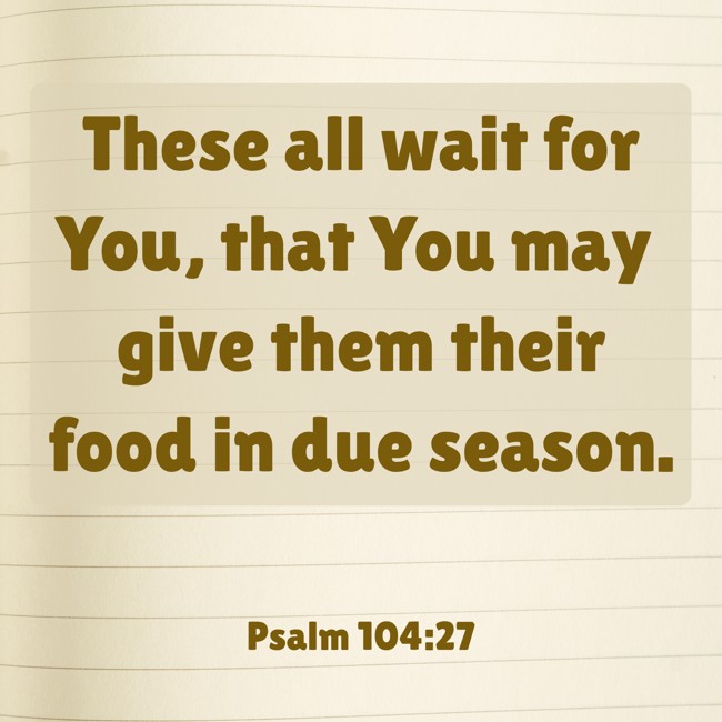 These all wait for You, that You may give them their food in due season. - Psalm 104:27