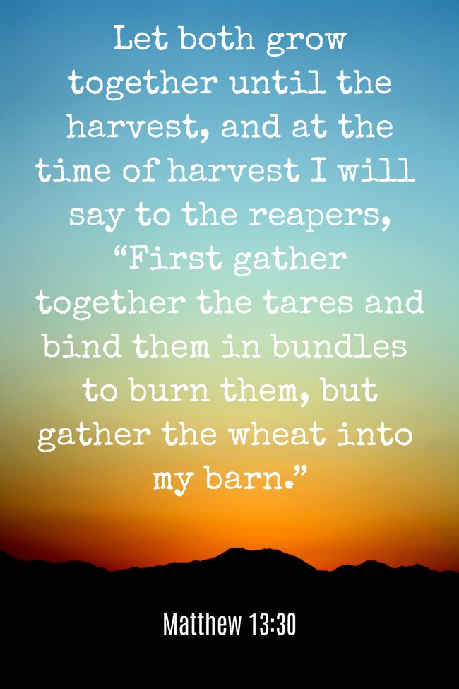 Let both grow together until the harvest, and at the time of harvest I will say to the reapers, “First gather together the tares and bind them in bundles to burn them, but gather the wheat into my barn.” - Matthew 13:30