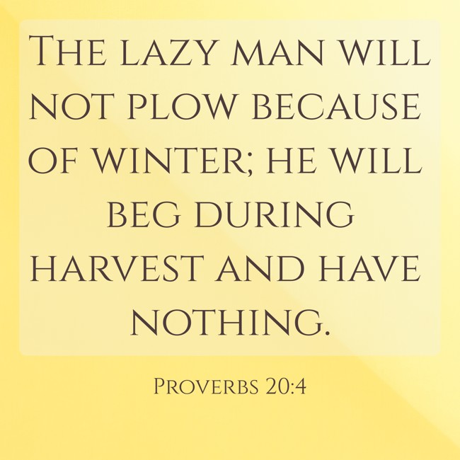 The lazy man will not plow because of winter; he will beg during harvest and have nothing. - Proverbs 20:4