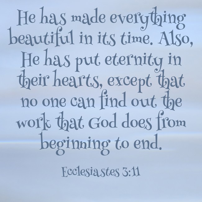 He has made everything beautiful in its time. Also, He has put eternity in their hearts, except that no one can find out the work that God does from beginning to end. - Ecclesiastes 3:11