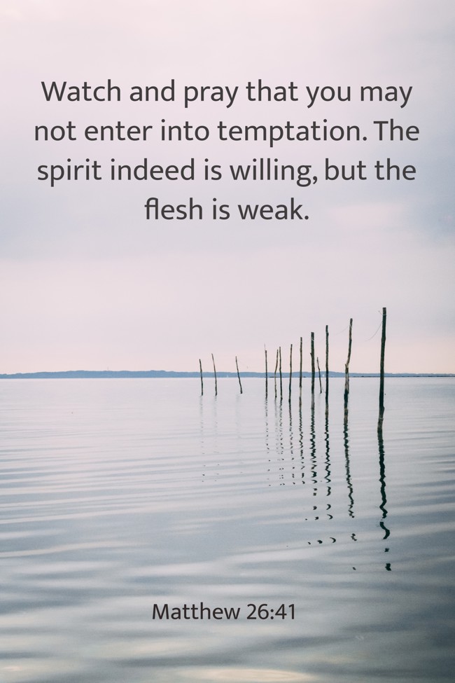 Watch and pray that you may not enter into temptation. The spirit indeed is willing, but the flesh is weak. - Matthew 26:41