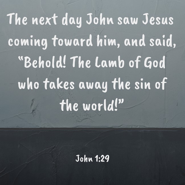 The next day John saw Jesus coming toward him, and said, “Behold! The Lamb of God who takes away the sin of the world!” - John 1:29