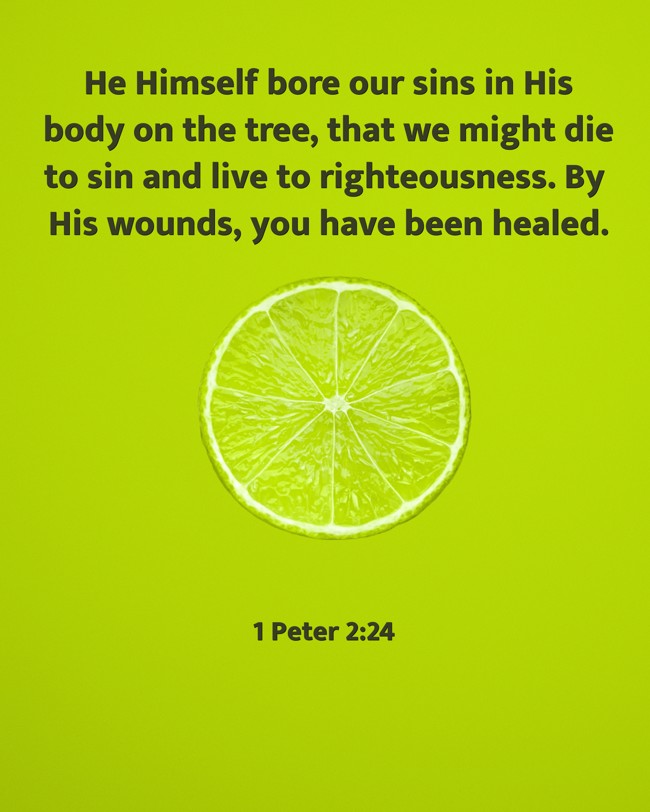 He Himself bore our sins in His body on the tree, that we might die to sin and live to righteousness. By His wounds, you have been healed. - 1 Peter 2:24