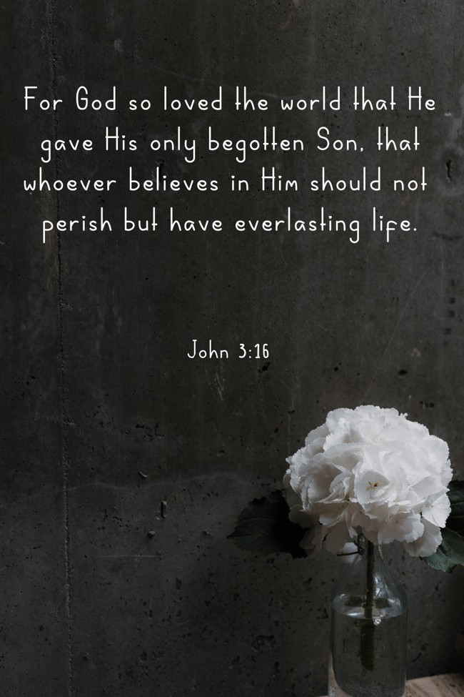 For God so loved the world that He gave His only begotten Son, that whoever believes in Him should not perish but have everlasting life. - John 3:16