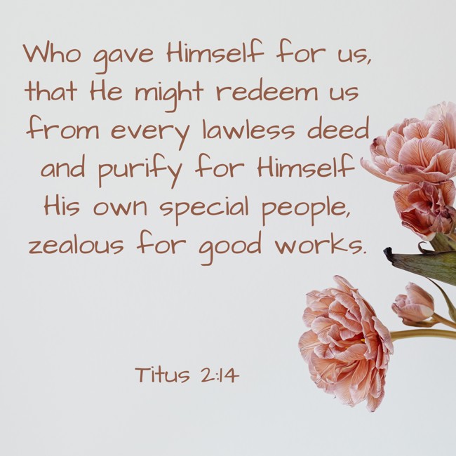 Who gave Himself for us, that He might redeem us from every lawless deed and purify for Himself His own special people, zealous for good works. - Titus 2:14
