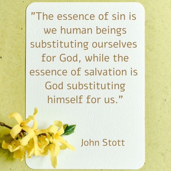 The essence of sin is we human beings substituting ourselves for God, while the essence of salvation is God substituting himself for us. - John Stott