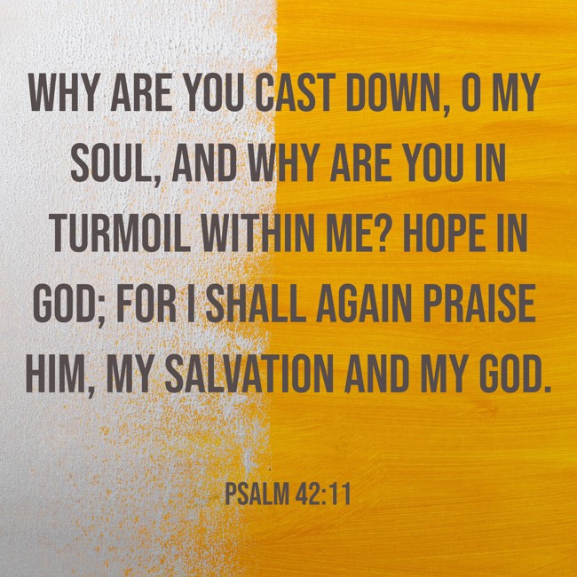 Why are you cast down, O my soul, and why are you in turmoil within me? Hope in God; for I shall again praise him, my salvation and my God. - Psalm 42:11