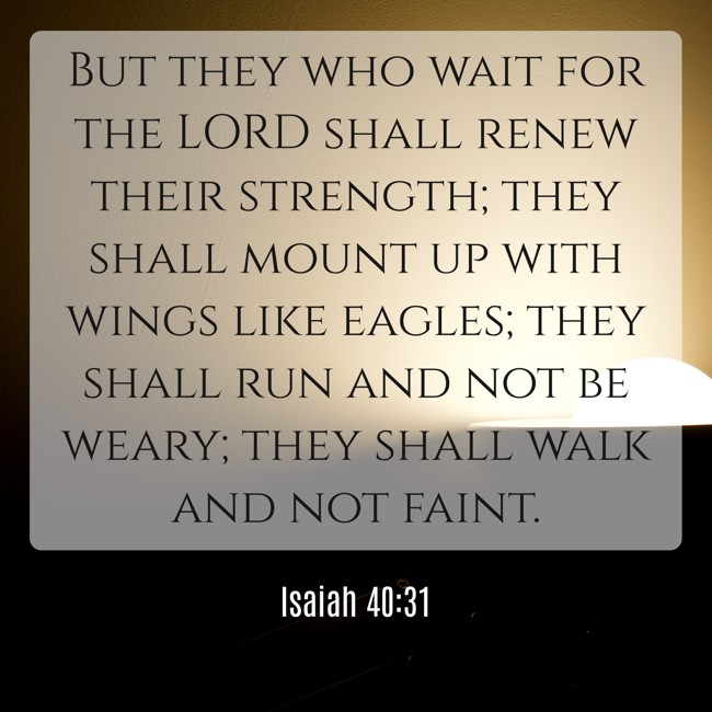 But they who wait for the LORD shall renew their strength; they shall mount up with wings like eagles; they shall run and not be weary; they shall walk and not faint. - Isaiah 40:31