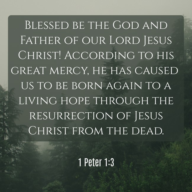 Blessed be the God and Father of our Lord Jesus Christ! According to his great mercy, he has caused us to be born again to a living hope through the resurrection of Jesus Christ from the dead. - 1 Peter 1:3
