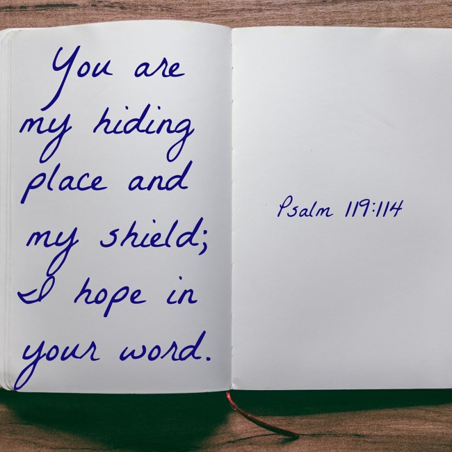 You are my hiding place and my shield; I hope in your word. - Psalm 119:114
