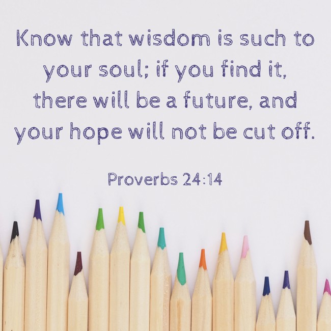 Know that wisdom is such to your soul; if you find it, there will be a future, and your hope will not be cut off. - Proverbs 24:14