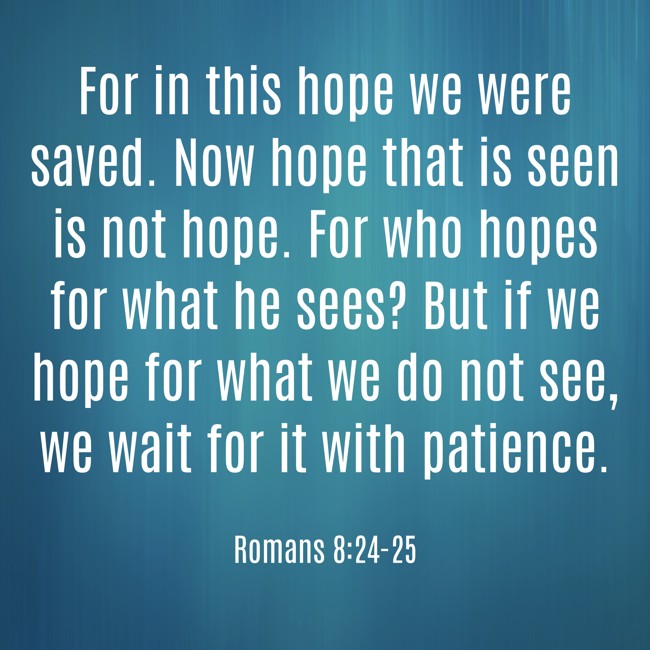 For in this hope we were saved. Now hope that is seen is not hope. For who hopes for what he sees? But if we hope for what we do not see, we wait for it with patience. - Romans 8:24-25