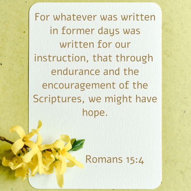 For whatever was written in former days was written for our instruction, that through endurance and the encouragement of the Scriptures, we might have hope. - Romans 15:4