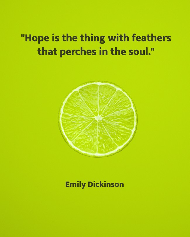 Hope is the thing with feathers that perches in the soul. - Emily Dickinson
