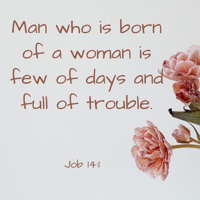 Man who is born of a woman is few of days and full of trouble. - Job 14:1