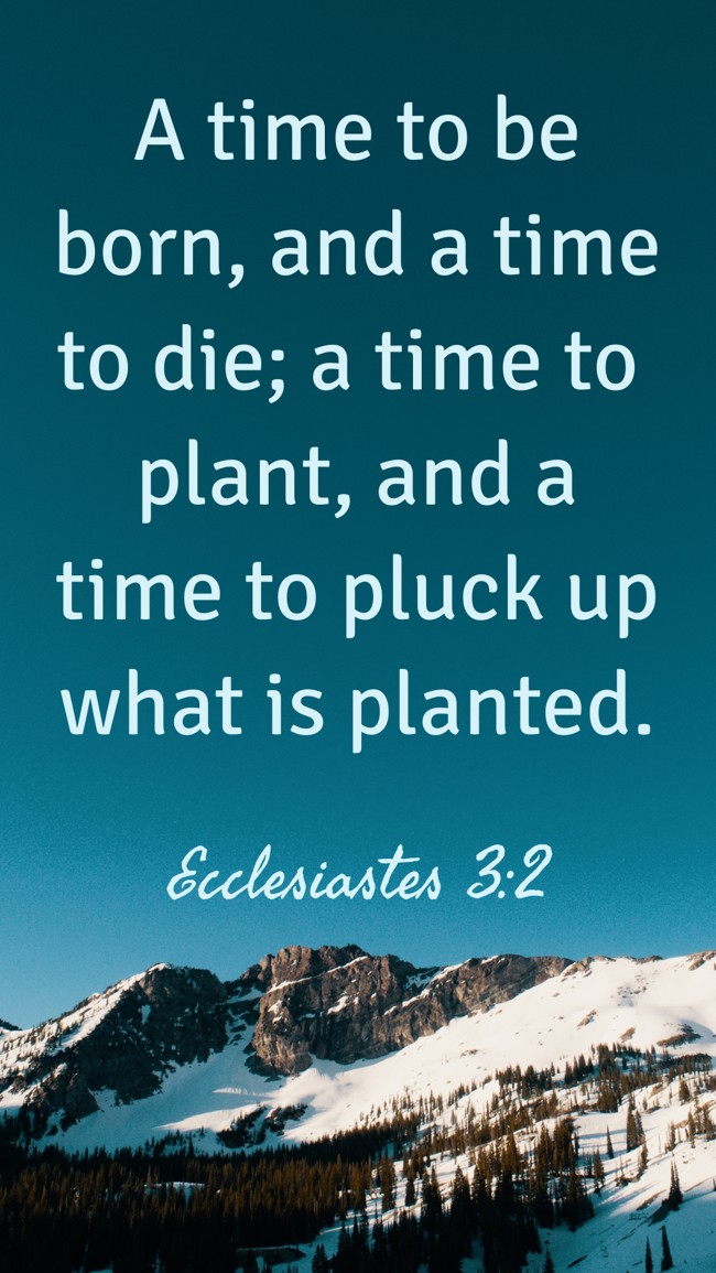 A time to be born, and a time to die; a time to plant, and a time to pluck up what is planted. - Ecclesiastes 3:2