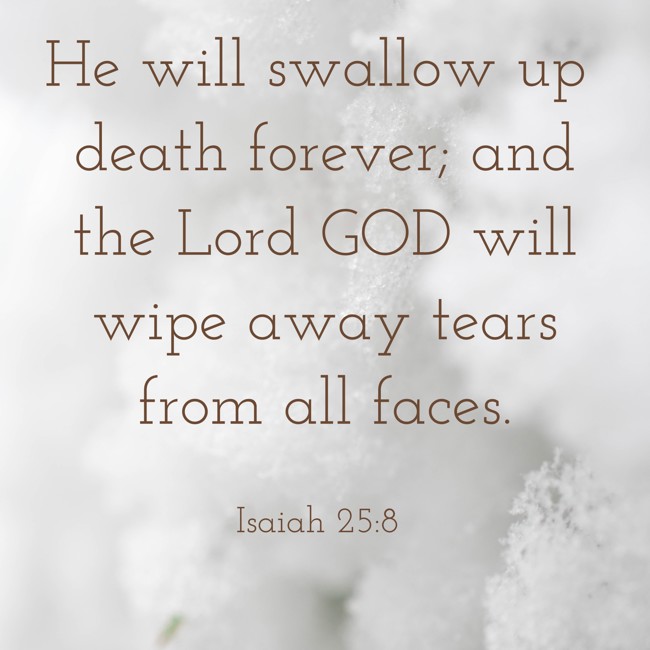 He will swallow up death forever; and the Lord GOD will wipe away tears from all faces. - Isaiah 25:8