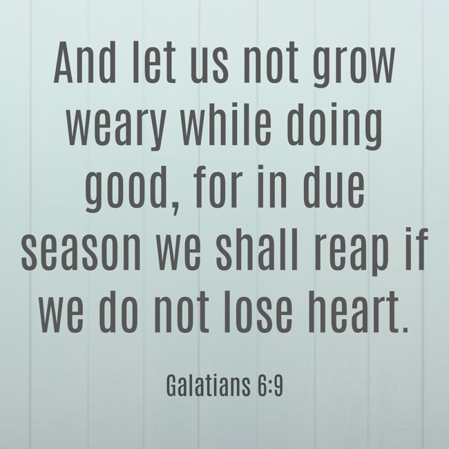 And let us not grow weary while doing good, for in due season we shall reap if we do not lose heart. - Galatians 6:9