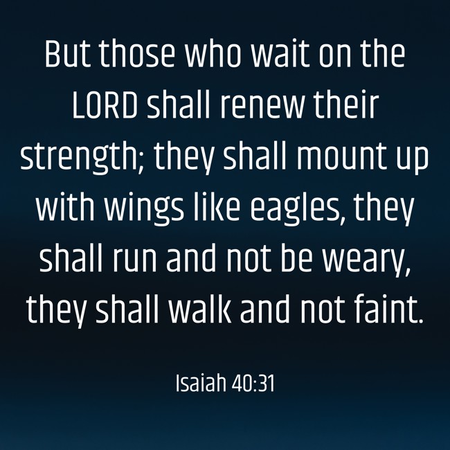But those who wait on the LORD shall renew their strength; they shall mount up with wings like eagles, they shall run and not be weary, they shall walk and not faint. - Isaiah 40:31