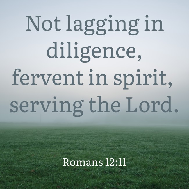 Not lagging in diligence, fervent in spirit, serving the Lord. - Romans 12:11