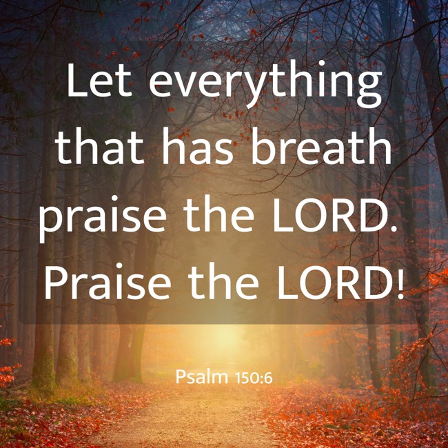 Let everything that has breath praise the LORD. Praise the LORD! - Psalm 150:6