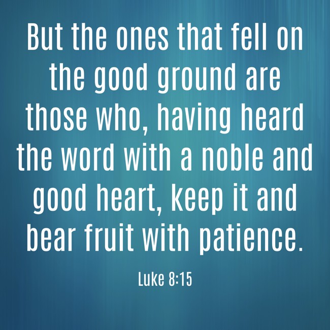 But the ones that fell on the good ground are those who, having heard the word with a noble and good heart, keep it and bear fruit with patience. - Luke 8:15