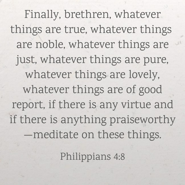 Finally, brethren, whatever things are true, whatever things are noble, whatever things are just, whatever things are pure, whatever things are lovely, whatever things are of good report, if there is any virtue and if there is anything praiseworthy—meditate on these things. - Philippians 4:8