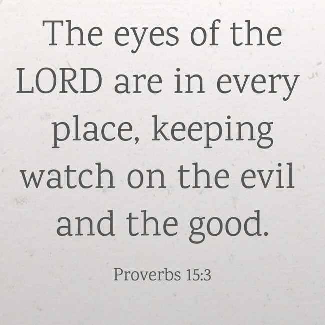 The eyes of the LORD are in every place, keeping watch on the evil and the good. - Proverbs 15:3