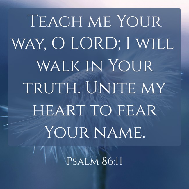 Teach me Your way, O LORD; I will walk in Your truth. Unite my heart to fear Your name. - Psalm 86:11