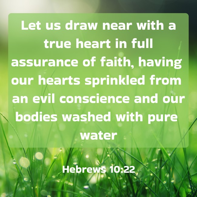 Let us draw near with a true heart in full assurance of faith, having our hearts sprinkled from an evil conscience and our bodies washed with pure water - Hebrews 10:22