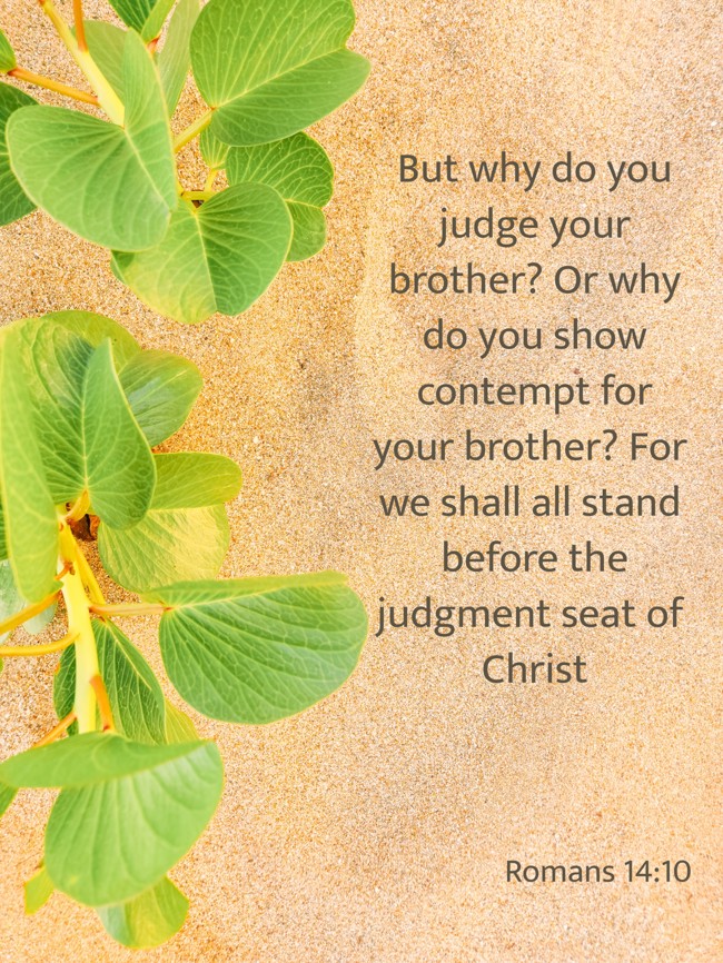 But why do you judge your brother? Or why do you show contempt for your brother? For we shall all stand before the judgment seat of Christ - Romans 14:10