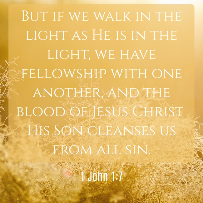 But if we walk in the light as He is in the light, we have fellowship with one another, and the blood of Jesus Christ His Son cleanses us from all sin. - 1 John 1:7