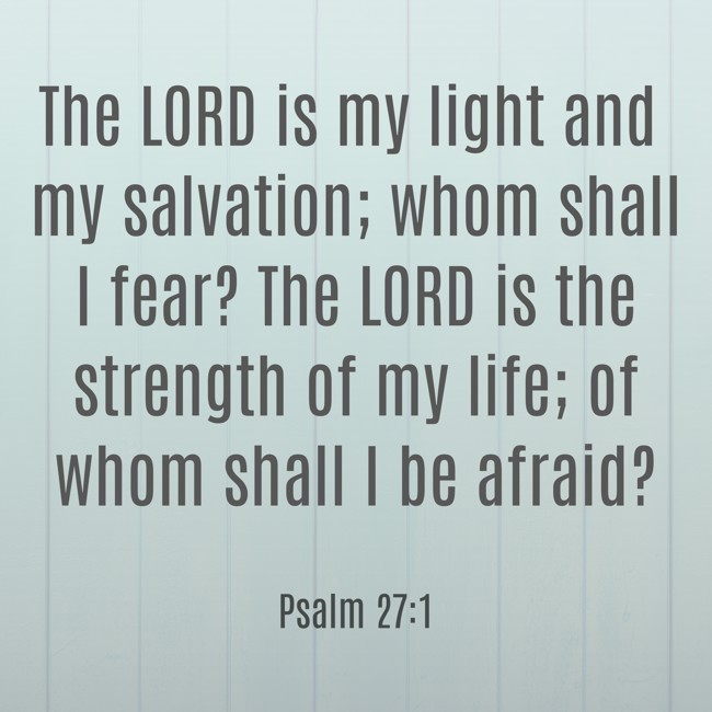 The LORD is my light and my salvation; whom shall I fear? The LORD is the strength of my life; of whom shall I be afraid? - Psalm 27:1