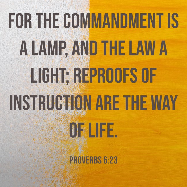 For the commandment is a lamp, and the law a light; reproofs of instruction are the way of life. - Proverbs 6:23