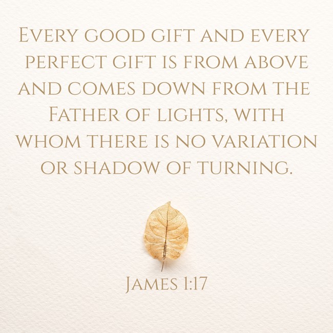 Every good gift and every perfect gift is from above and comes down from the Father of lights, with whom there is no variation or shadow of turning. - James 1:17