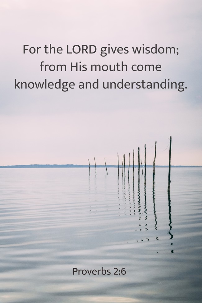 For the LORD gives wisdom; from His mouth come knowledge and understanding. - Proverbs 2:6