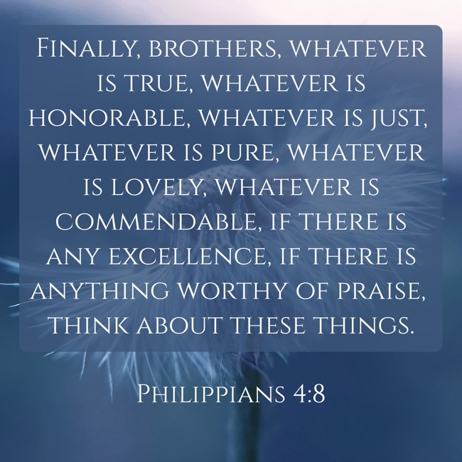 Finally, brothers, whatever is true, whatever is honorable, whatever is just, whatever is pure, whatever is lovely, whatever is commendable, if there is any excellence, if there is anything worthy of praise, think about these things. - Philippians 4:8
