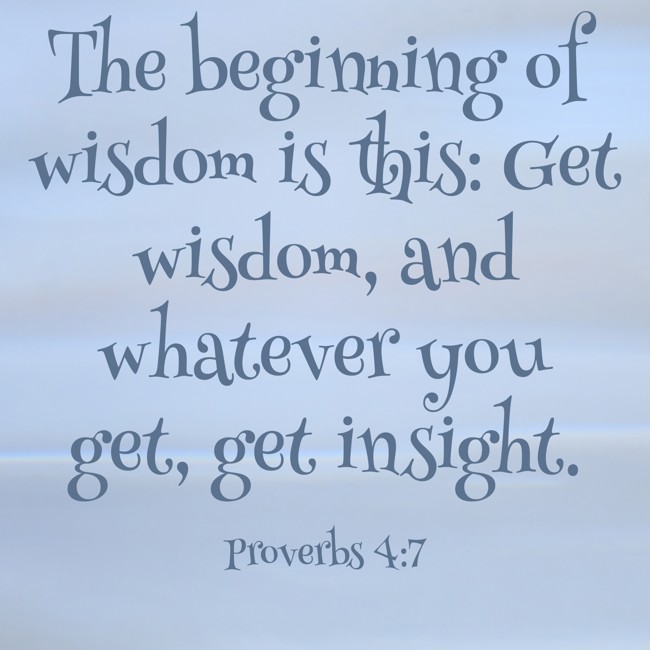 The beginning of wisdom is this: Get wisdom, and whatever you get, get insight. - Proverbs 4:7