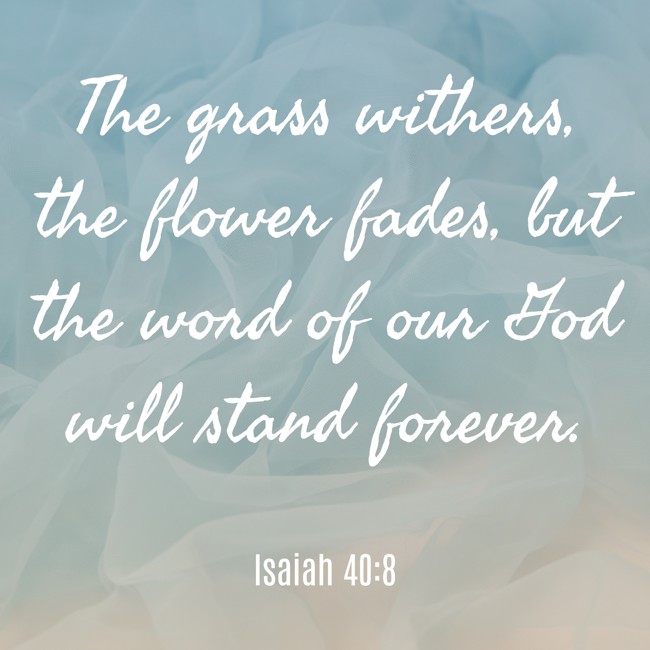 The grass withers, the flower fades, but the word of our God will stand forever. - Isaiah 40:8