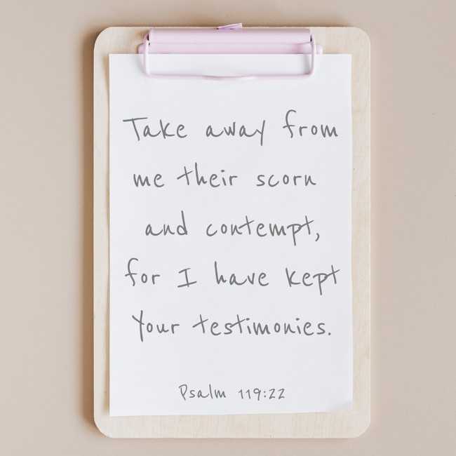 Take away from me their scorn and contempt, for I have kept Your testimonies. - Psalm 119:22