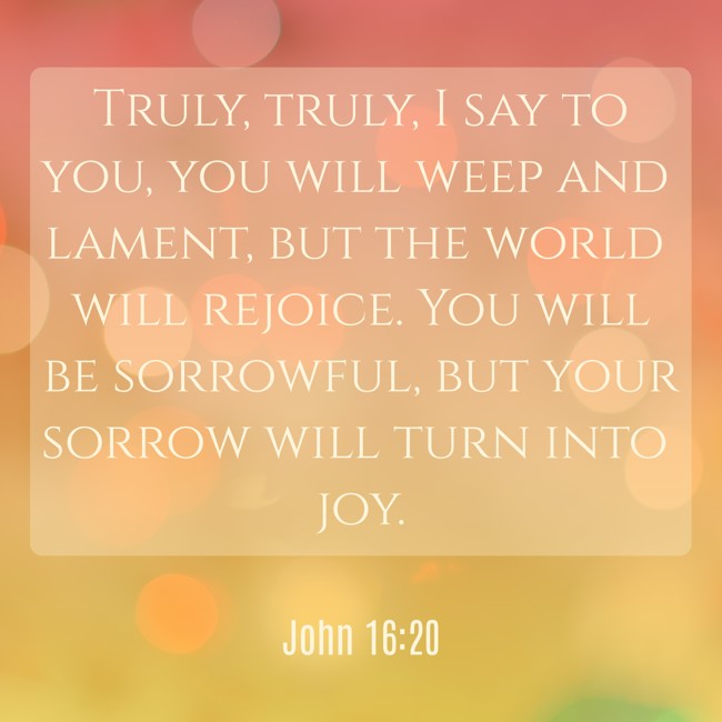 Truly, truly, I say to you, you will weep and lament, but the world will rejoice. You will be sorrowful, but your sorrow will turn into joy. - John 16:20