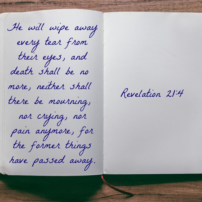 He will wipe away every tear from their eyes, and death shall be no more, neither shall there be mourning, nor crying, nor pain anymore, for the former things have passed away. - Revelation 21:4