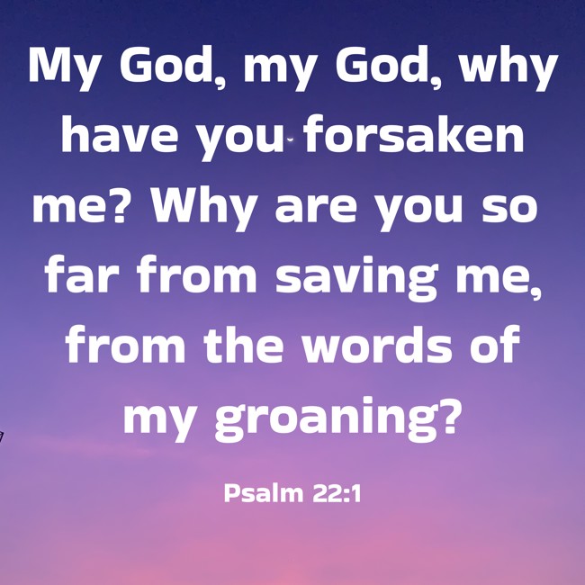 My God, my God, why have you forsaken me? Why are you so far from saving me, from the words of my groaning? - Psalm 22:1