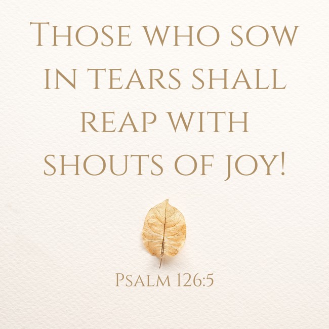 Those who sow in tears shall reap with shouts of joy! - Psalm 126:5