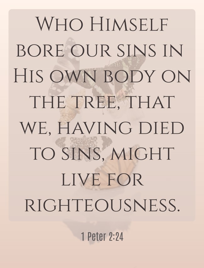 Who Himself bore our sins in His own body on the tree, that we, having died to sins, might live for righteousness. - 1 Peter 2:24