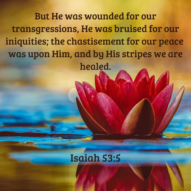 But He was wounded for our transgressions, He was bruised for our iniquities; the chastisement for our peace was upon Him, and by His stripes we are healed. - Isaiah 53:5