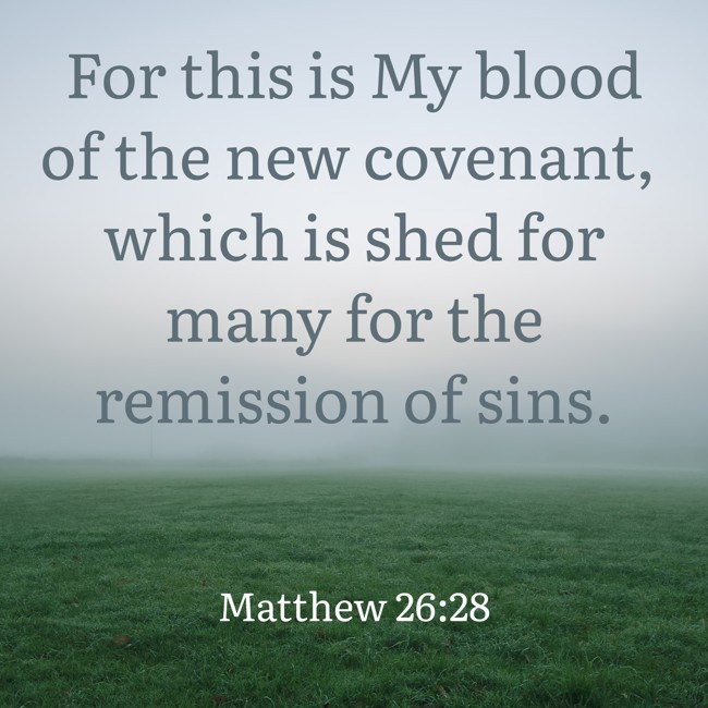 For this is My blood of the new covenant, which is shed for many for the remission of sins. - Matthew 26:28