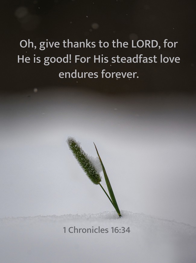 Oh, give thanks to the LORD, for He is good! For His steadfast love endures forever. - 1 Chronicles 16:34