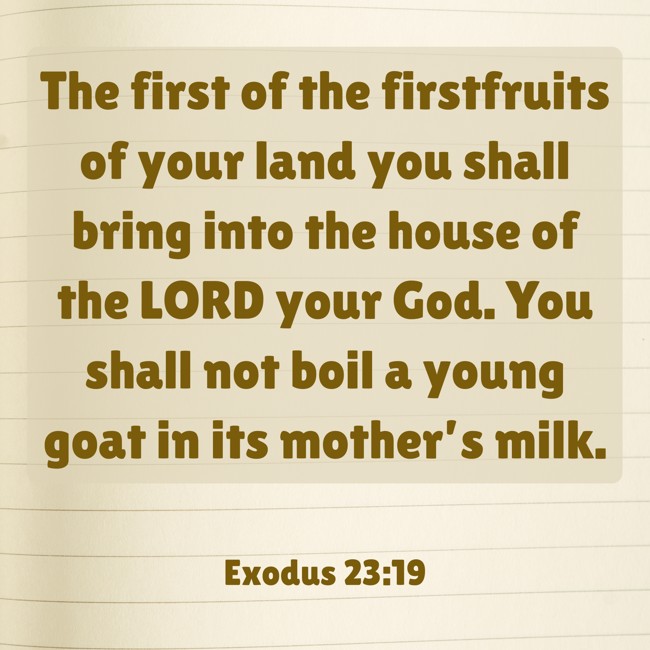 The first of the firstfruits of your land you shall bring into the house of the LORD your God. You shall not boil a young goat in its mother’s milk. - Exodus 23:19